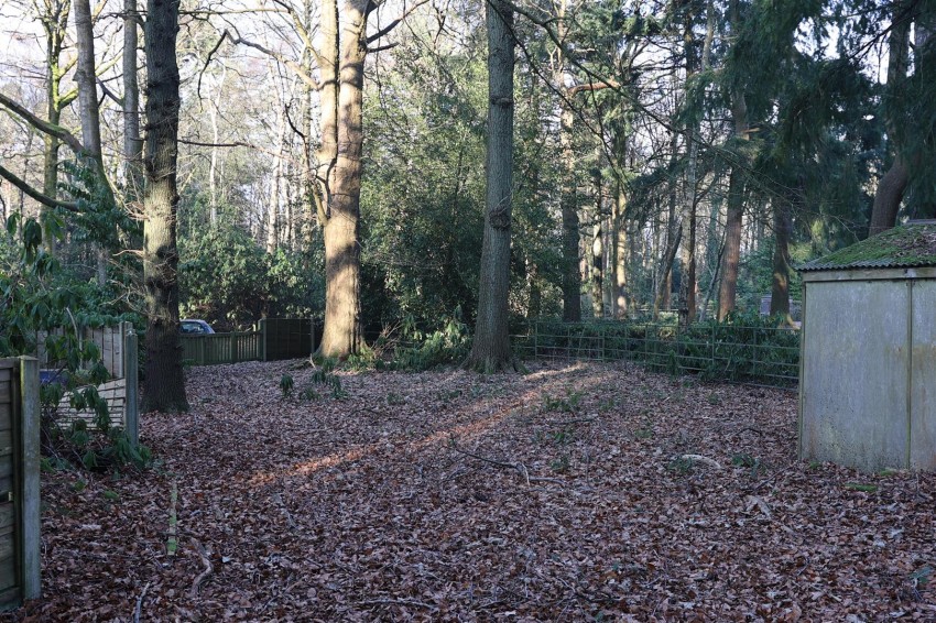 Images for Newstead Abbey Park, Nottingham