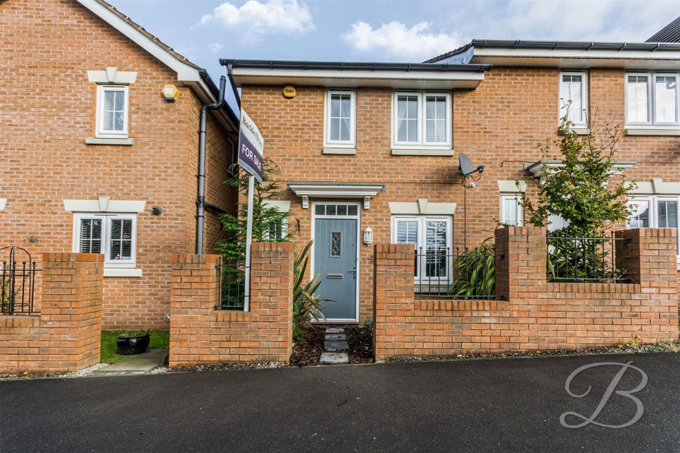 Image of Sanderling Way, Forest Town, Mansfield