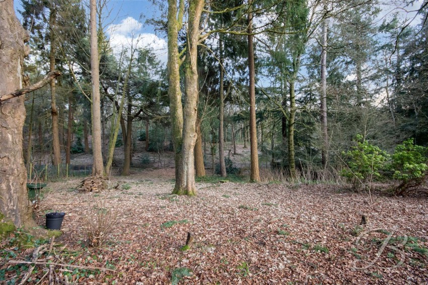 Images for Haggnook Wood, Ravenshead, Nottingham